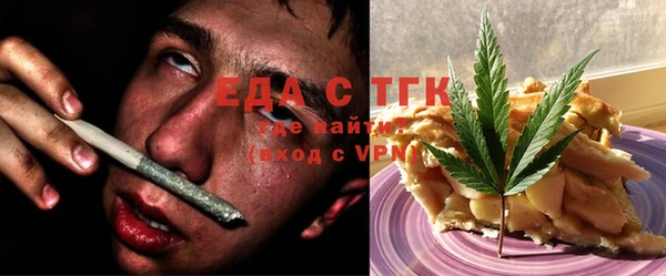 дживик Бородино