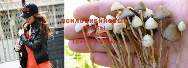 ALPHA-PVP Богородицк