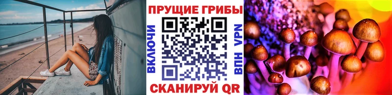 Галлюциногенные грибы GOLDEN TEACHER  сколько стоит  Верхняя Пышма 